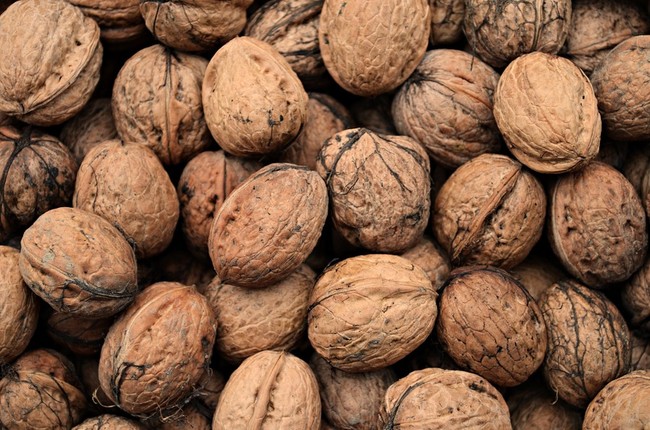walnuts,fruit,collection,of,food,mature,fruiting,eating,healthy,nature,health,fresh,autumn,eat,kitchen,nutrition,the,cultivation,agriculture,freshness,vitamins,natural,plant,plants,tree,walnut,garden,macro,closeup,Free,photos,Images