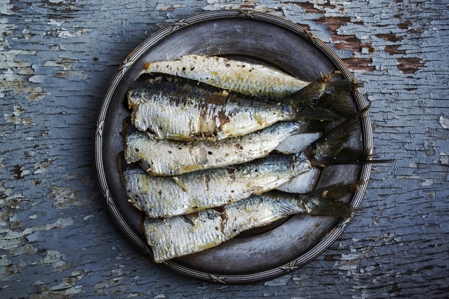 sardines,fish,plated,food,grilled,mediterranean,prepared,healthy,cuisine,photograph,fried,sea,lunch,sardine,appetizing,salty,traditional,seafood,meal,recipe,pictures,mystic,light,photography,omega3,plate,delicious,omega,dinner,appetizer,nutrition,fishing,metal,parsley,royalty,free,Free,photos,Images